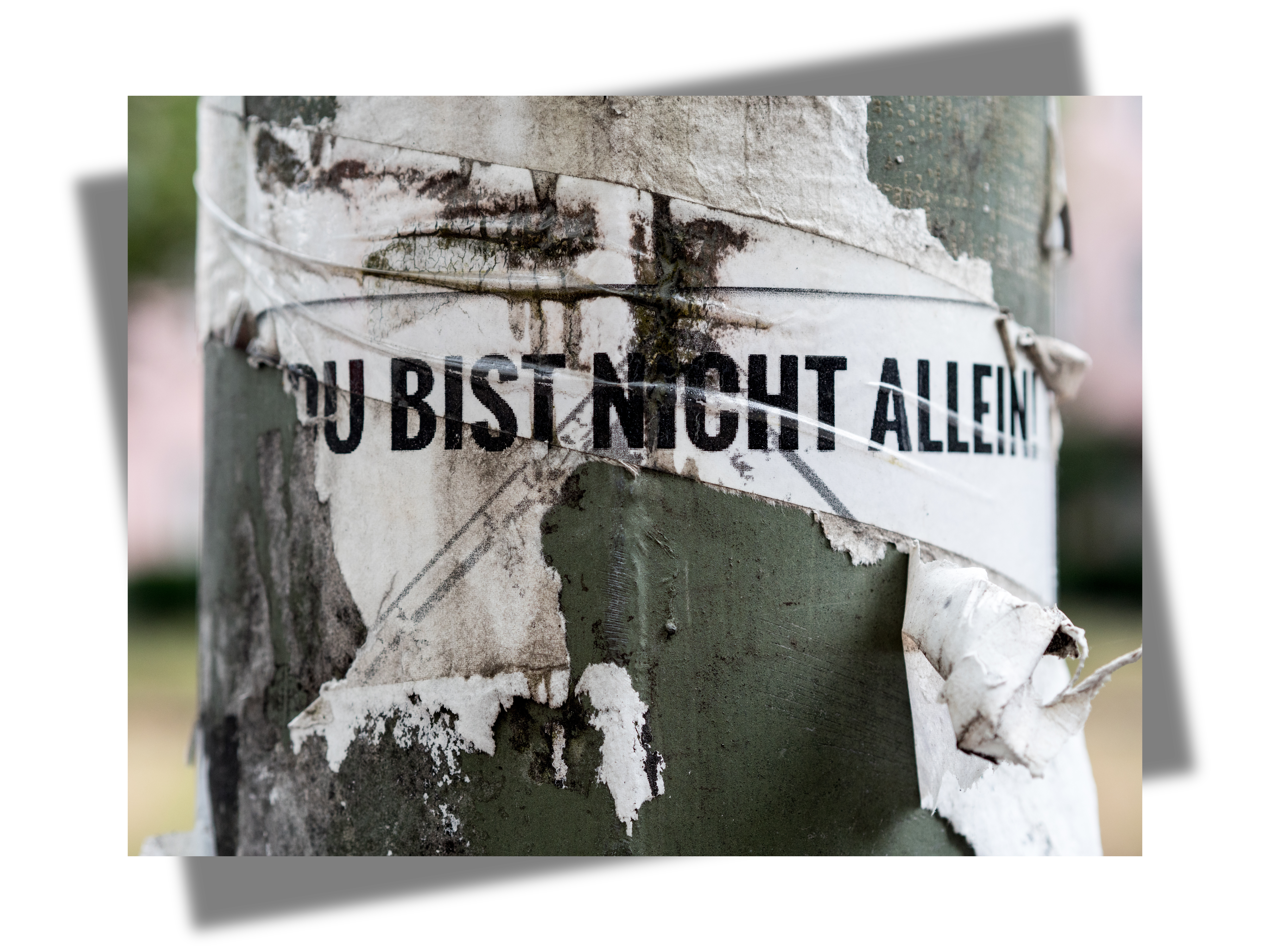 Du bist nicht allein
